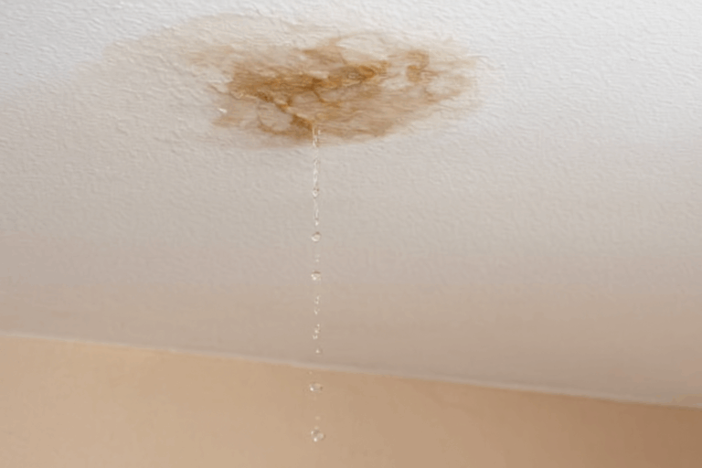 water dripping from ceiling
